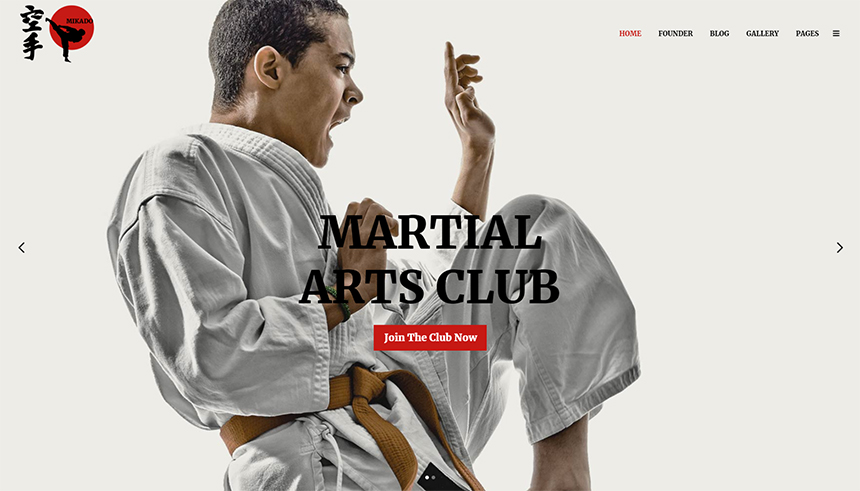 Mikado website screenshot